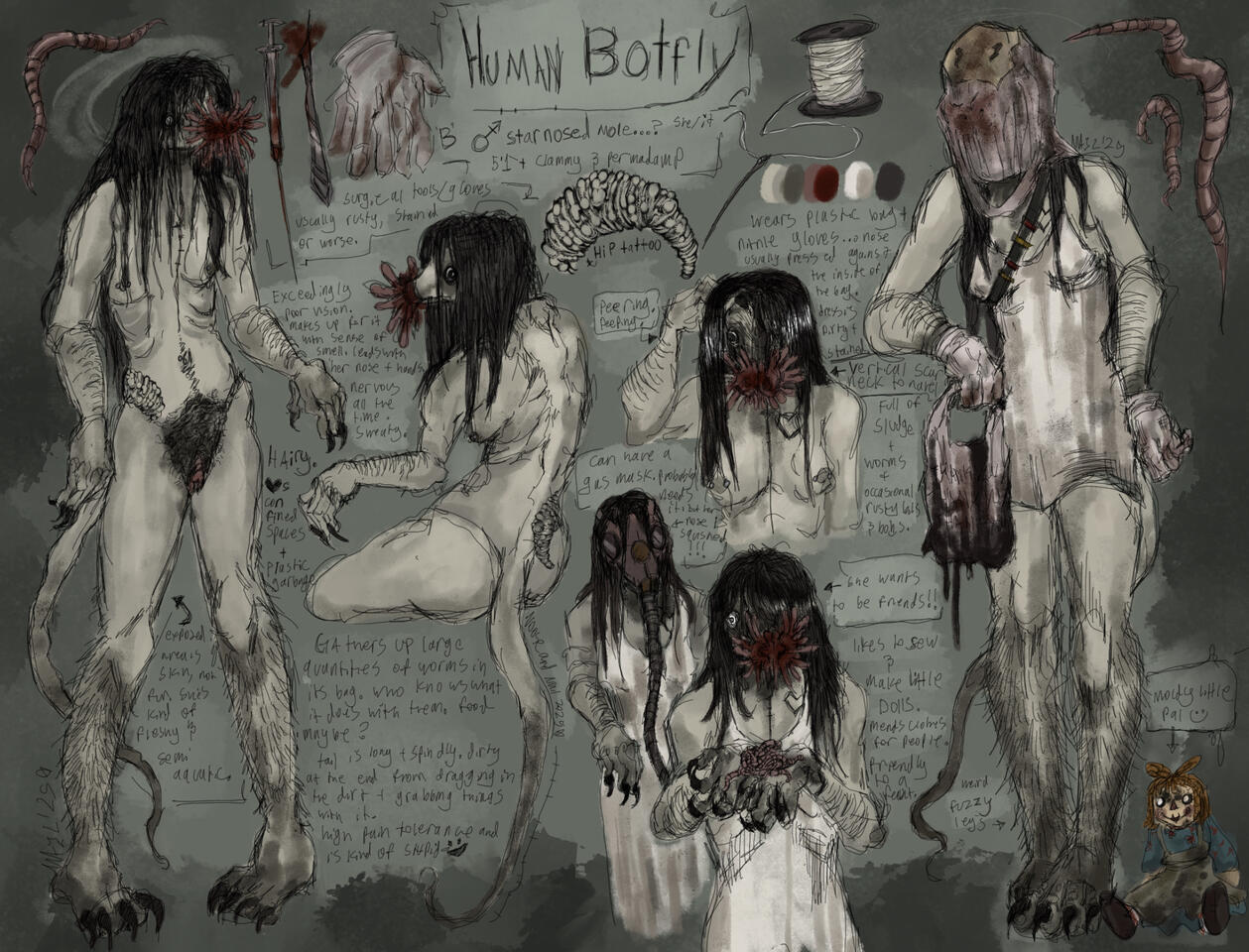 human botfly - full design