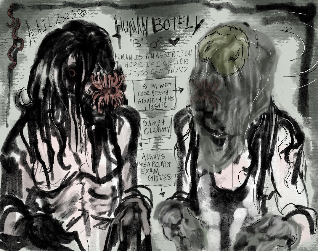 human botfly- initial design sketch