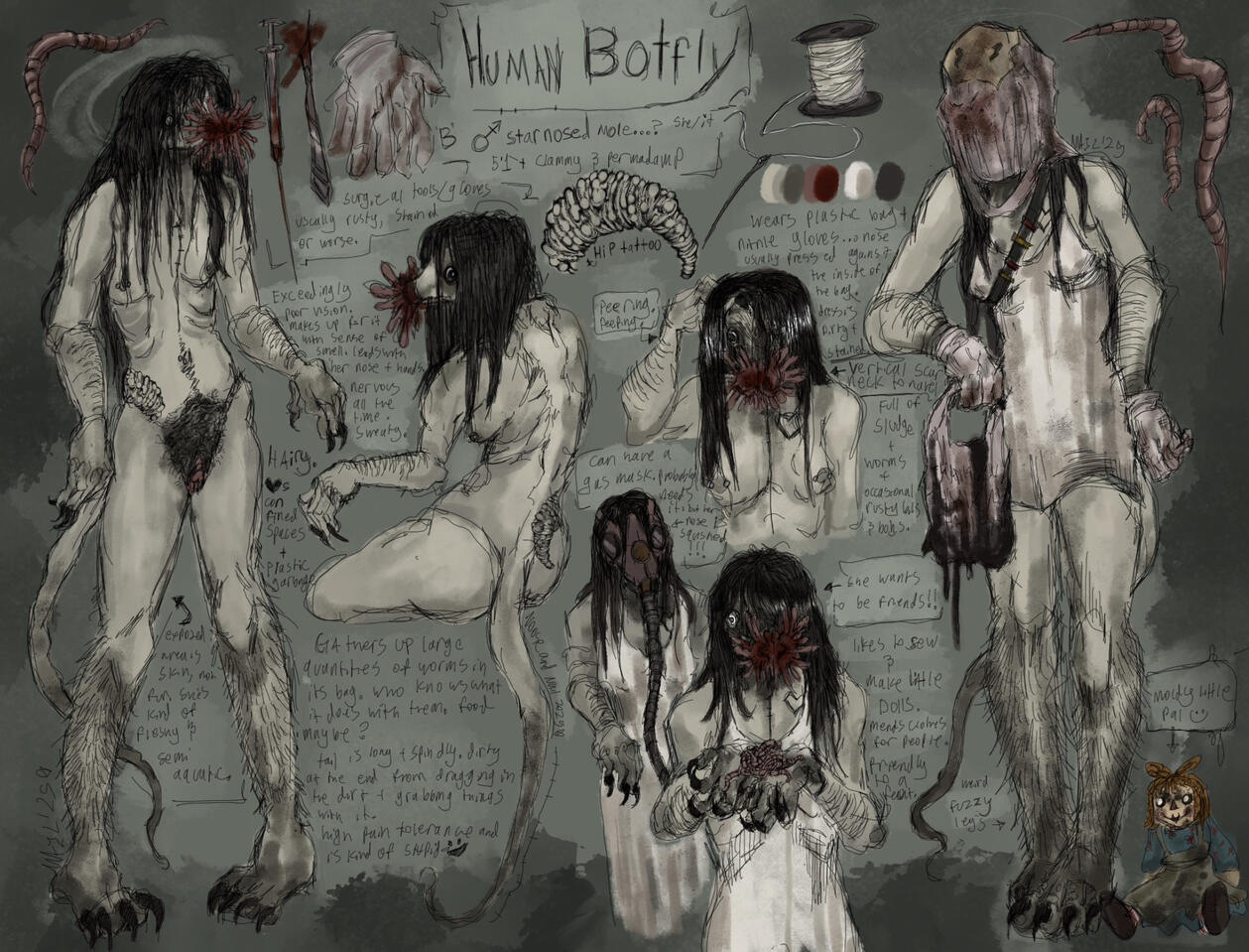 human botfly - full design human botfly - full design